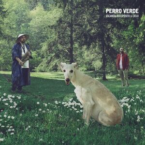 PERRO VERDE